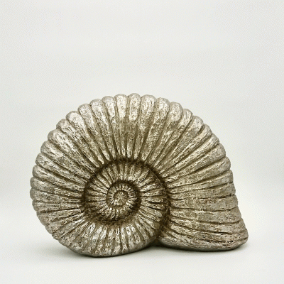 Deko-Skulptur-Ammonit
